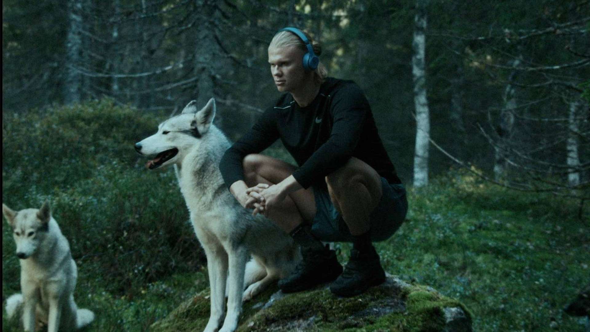 成長永無止 成長永無止