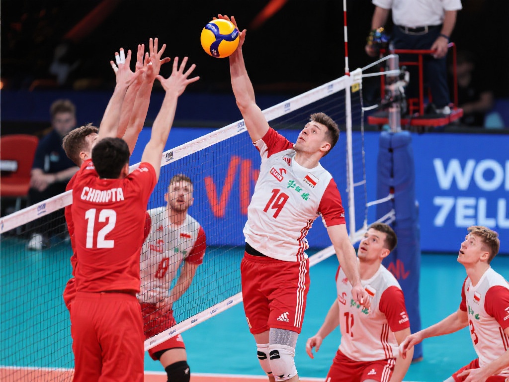 职业生涯的 职业生涯的